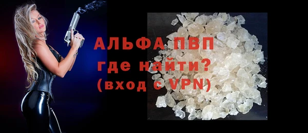 гашик Лабытнанги